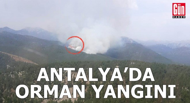 Antalya'da orman yangını