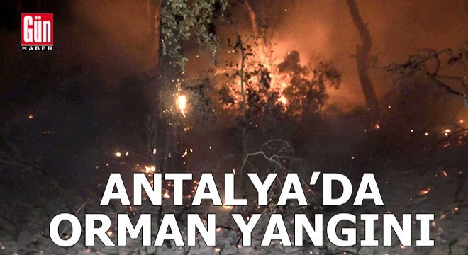 Antalya'da orman yangını