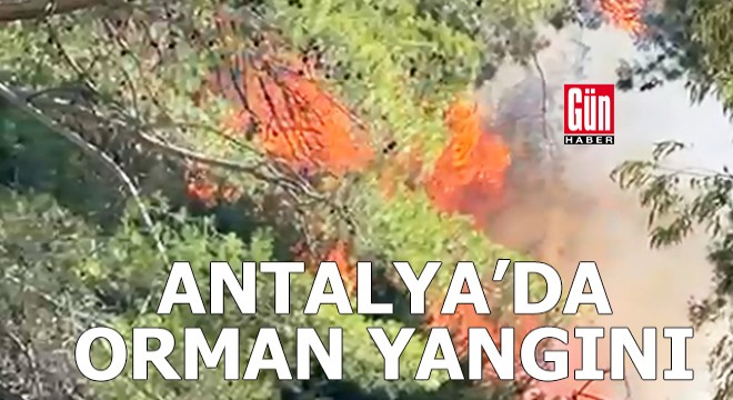 Antalya'da orman yangını