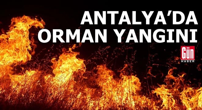 Antalya'da orman yangını!