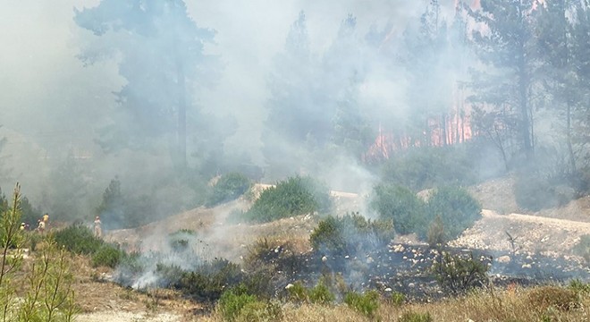 Antalya'da orman yangını