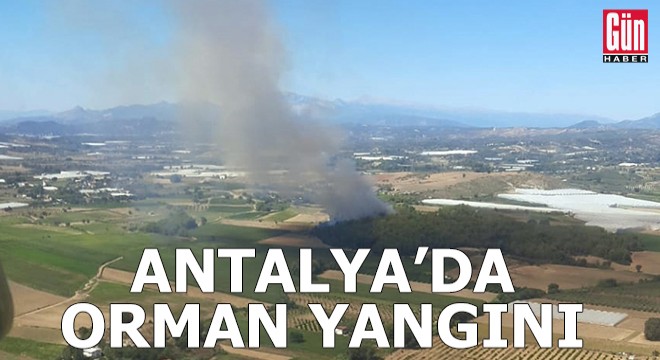 Antalya'da orman yangını