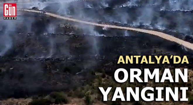 Antalya'da orman yangını