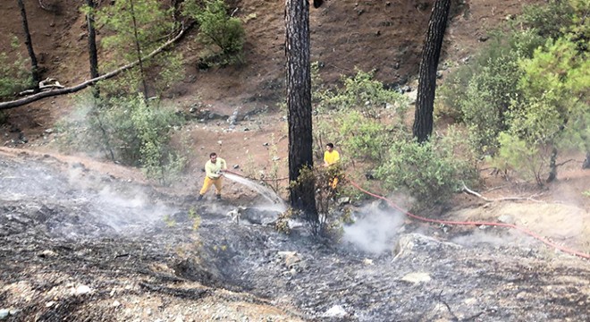 Antalya'da orman yangını büyümeden söndürüldü