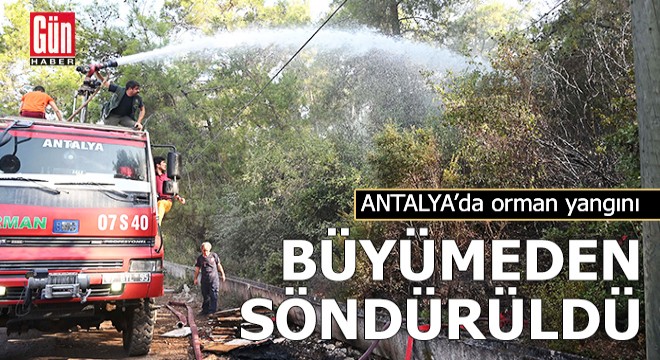 Antalya'da orman yangını büyümeden söndürüldü