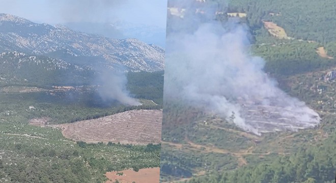 Antalya'da orman yangınında 1 hektar alan kül oldu