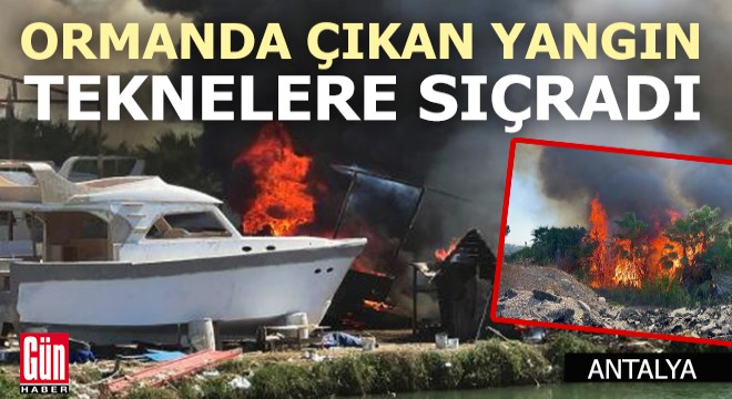 Antalya'da ormanda çıkan yangın, teknelere sıçradı