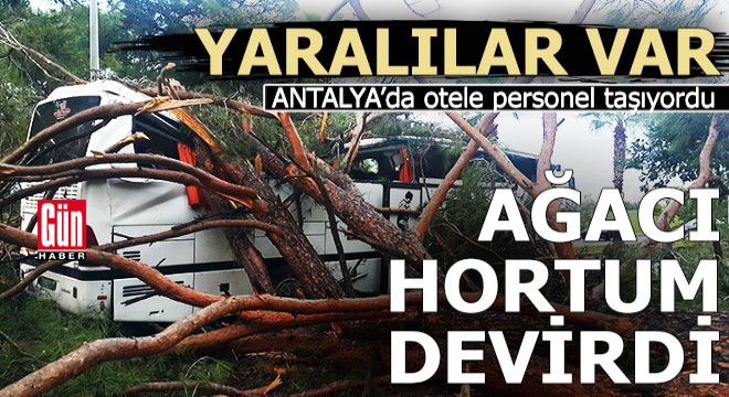 Antalya'da otel çalışanlarını taşıyan servis aracına ağaç devrildi: 7 yaralı