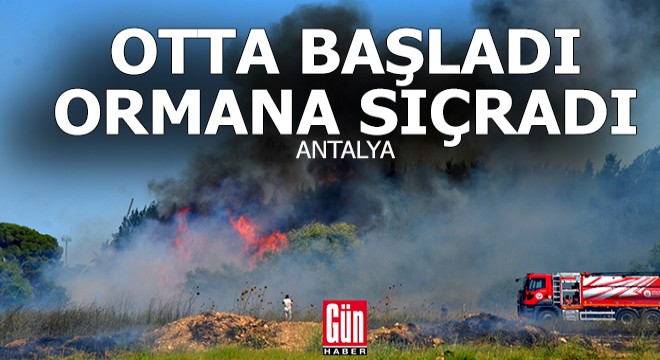 Antalya'da otta başlayan yangın ormana sıçradı