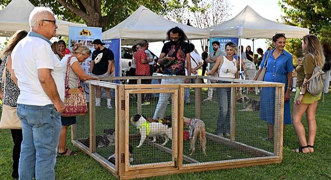 Antalya'da patili dostlar yeni yuvalarına kavuştu