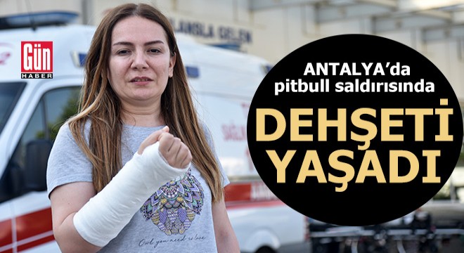 Antalya'da pitbull saldırısında dehşeti yaşadı