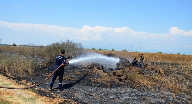 Antalya'da sazlık yangını