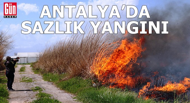 Antalya'da sazlık yangını, güçlükle söndürüldü