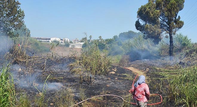 Antalya'da sazlık yangını seralara sıçramadan söndürüldü