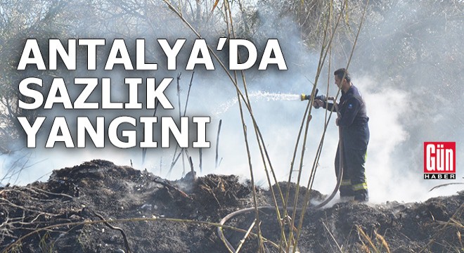 Antalya'da sazlıkta çıkan yangın seraya sıçradı