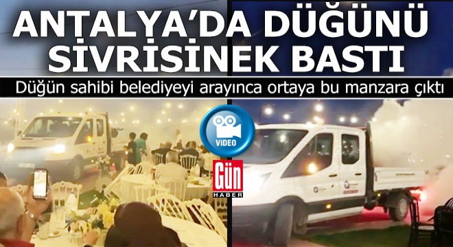 Antalya'da sivrisinekler düğünü basınca belediye ekipleri sevk edildi