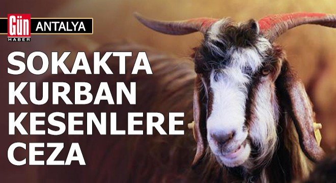 Antalya'da sokakta kurban kesenlere ceza