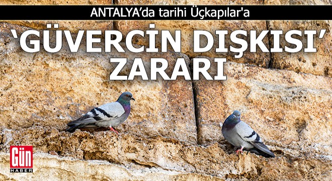 Antalya'da tarihi Üçkapılar'a 'güvercin dışkısı' zararı