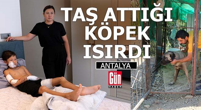 Antalya'da taş attığı köpeğin saldırdığı çocuk yaralandı