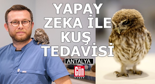 Antalya'da yapay zeka ile kuş tedavisi