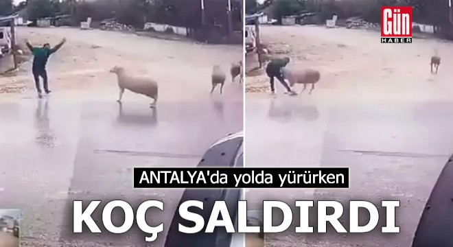 Antalya'da yolda yürürken koçun saldırısına uğradı