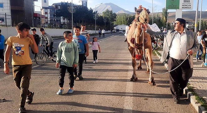 Antalya'dan Ağrı'ya kurbanlık gönderilen deveye ilgi