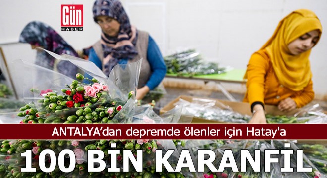 Antalya'dan Hatay'a 100 bin karanfil