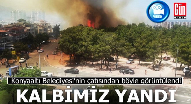 Antalya'nın kalbi Konyaaltı'ndaki ormanlık alan yandı