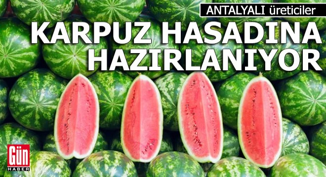 Antalyalı üreticiler karpuz hasadına hazırlanıyor