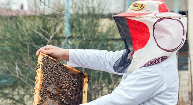 Arıcılık Malzemeleri ile Başarılı Bir Arıcılık Deneyimi