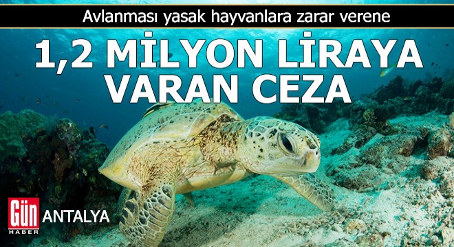 Avlanması yasak hayvanlara zarar verene 1,2 milyon lira ceza