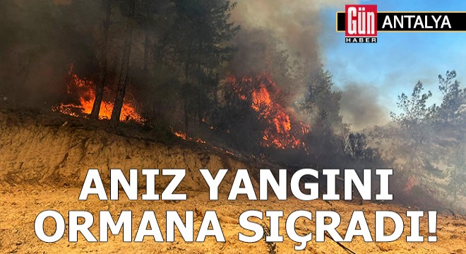 Bahçe temizliği için yakılan ateş ormana sıçradı