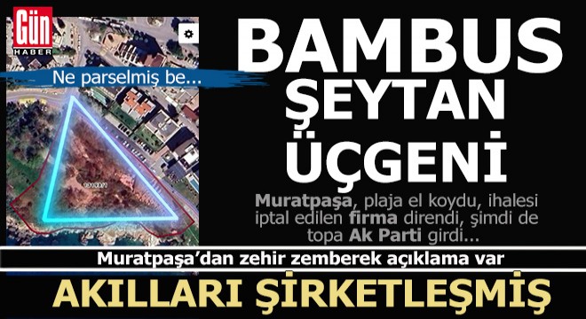 Bambus Şeytan Üçgeni...