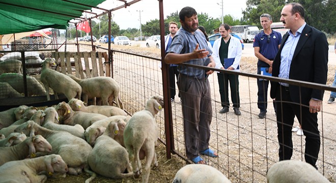 Başkan Kotan kurban satış yerini ziyaret etti