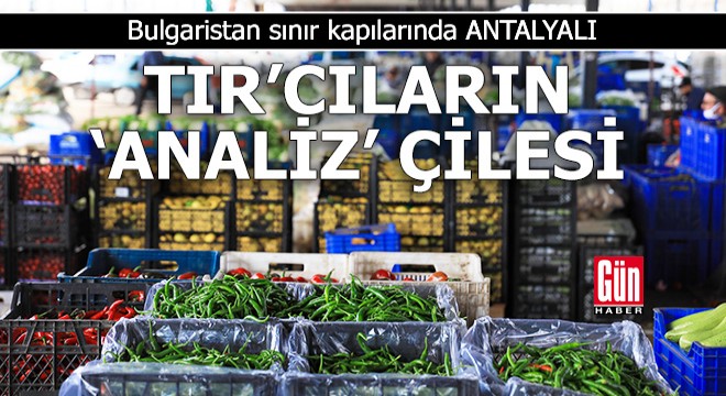 Bulgaristan sınır kapılarında Antalyalı TIR'cıların 'analiz' çilesi