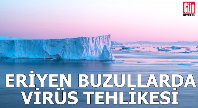 Buzullardan gelen virüs tehlikesi