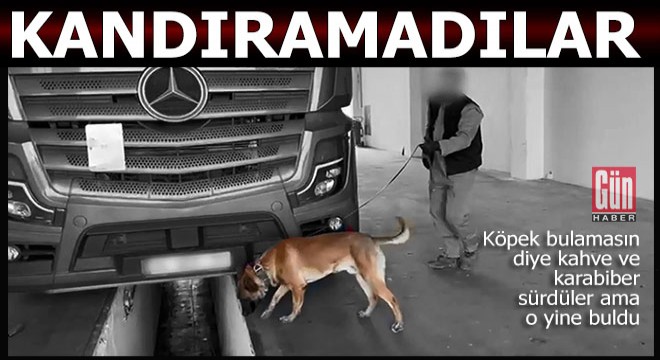 Carlos'u kandıramadılar