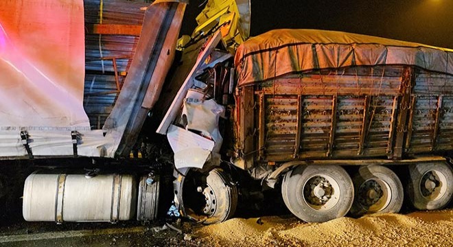 Demir levha yüklü TIR'ın şoförü, feci şekilde can verdi