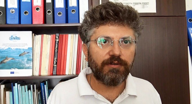 Doç .Dr. Tonay: Balık azalmasının suçlusu yunuslar değil