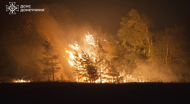 Donetsk bölgesinde Rus saldırısı sonrası orman yangını