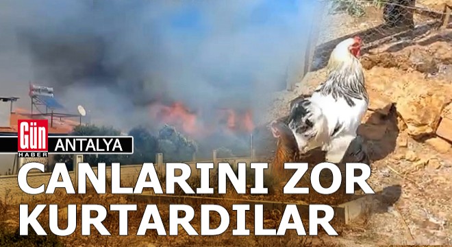 Döşemealtı'ndaki yangın hem evleri, hem kümesleri tehdit etti