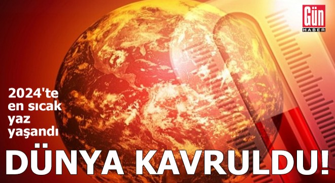 Dünya kavruldu! 2024'te en sıcak yaz yaşandı