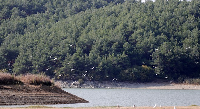 Edirne'de ormanlara girişler 15 Ekim'e kadar yasaklandı