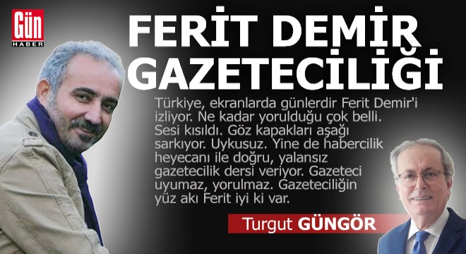 Ferit Demir gazeteciliği