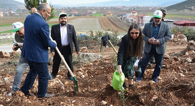 Fidanlar toprakla buluştu