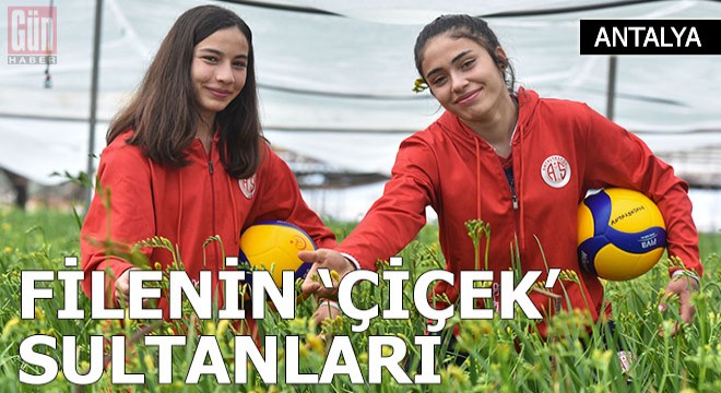 Filenin 'çiçek' sultanları