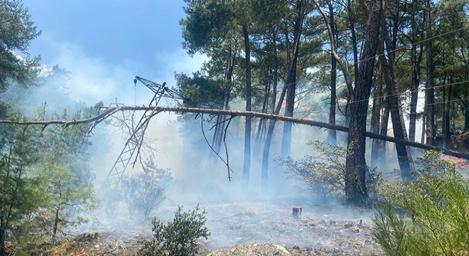 Finike'de orman yangını