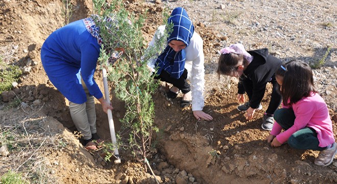 Gazipaşa'da 820 fidan toprakla buluştu