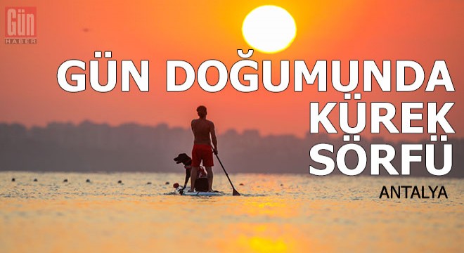 Gün doğumunda köpekleriyle kürek sörfü yapıyor