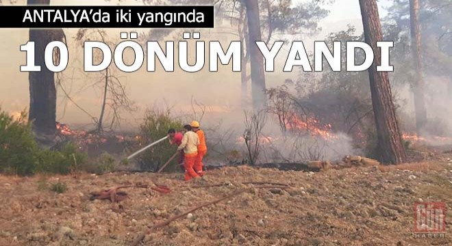 İki yangında 10 dönüm yandı